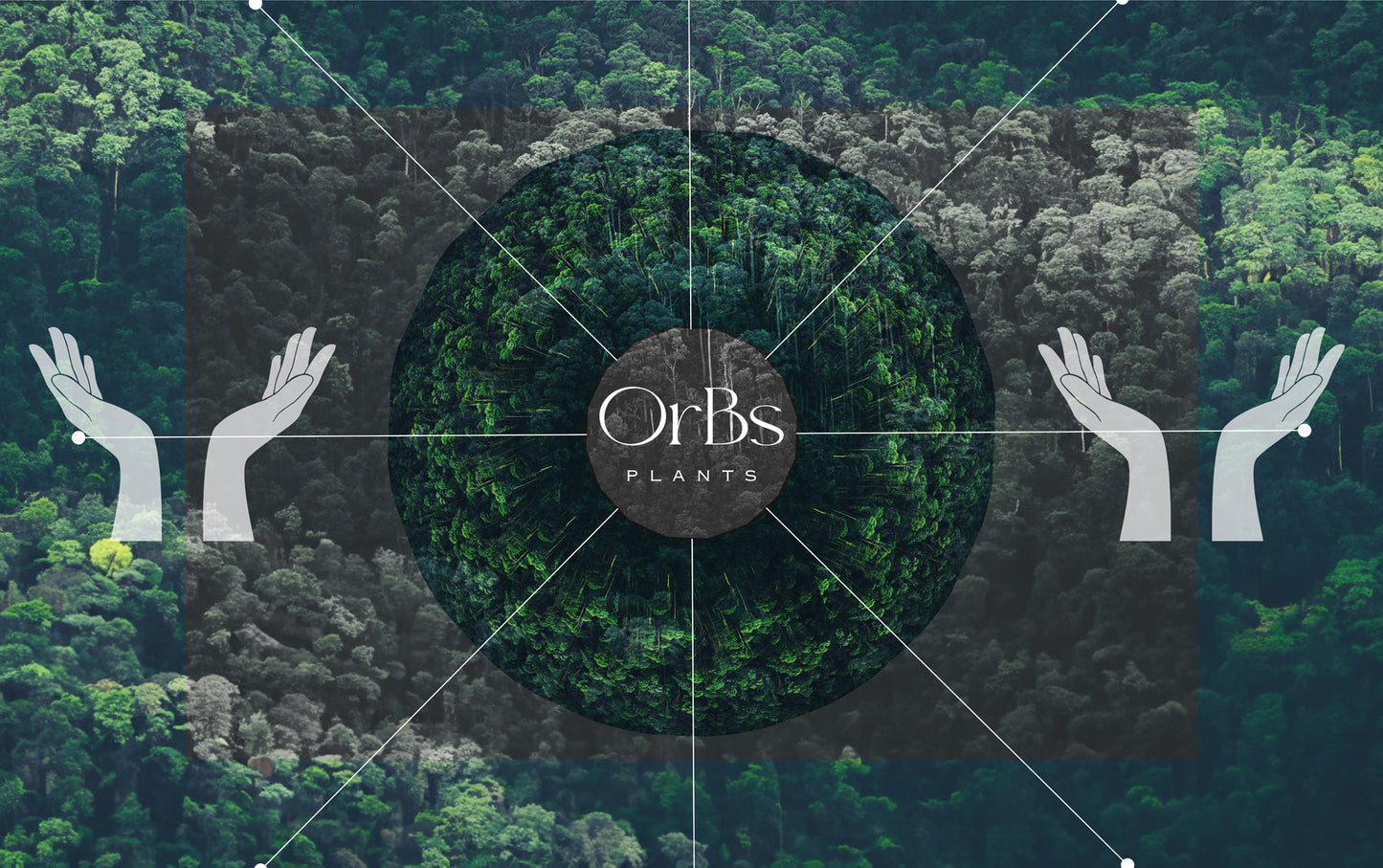 OrBs Plants ECストアオープンのご挨拶