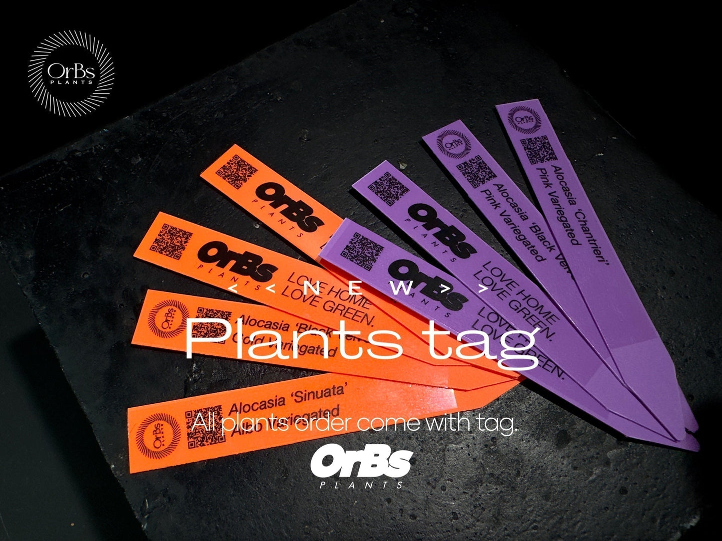 All plants order come with tags!